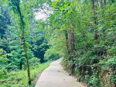 -素山寺森林公园