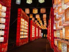 -欢乐海岸椰林沙滩-2025湾区超级灯会