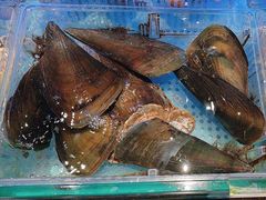 -阿伟海鲜楼·福建菜(延寿店)