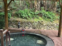 -明月山天沐温泉度假村