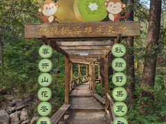-大岭沟猕猴桃谷风景区