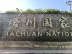 -塔川景区