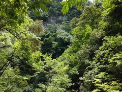 -咸阳湖景区-古渡公园