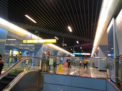 -大龙山(地铁站)