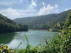 -桃花岭景区