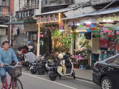 -溪岸路花鸟市场