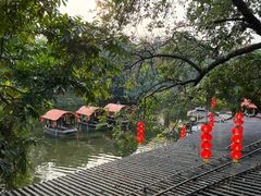 -侨美·唐荔园·40年地道粤菜