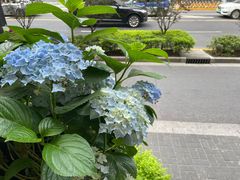 -Vinup薇葡·葡萄酒自助Bar(江宁路店)