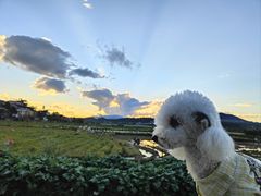 -和顺古镇