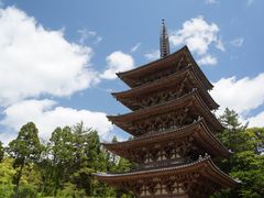 -醍醐寺