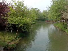 -西溪国家湿地公园