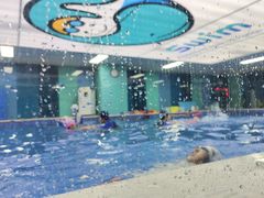 -Swim斯卫姆国际儿童游泳中心(红博中央公园店)