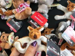 -Pancakes on the rocks(Darling Harbour)