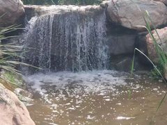 -大连植物园