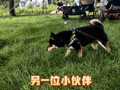 -圣露庄园·亲子活动乐园·露营·团建婚礼
