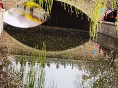 -海棠花溪(元大都城垣遗址公园)