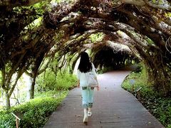 -广西壮族自治区药用植物园