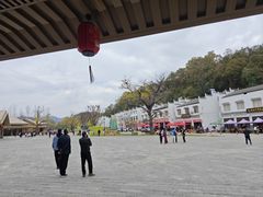 -千年银杏谷文化旅游区