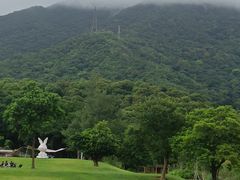 -梧桐山风景名胜区