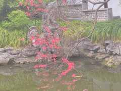 -梅园