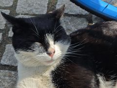 -同济大学(嘉定校区)