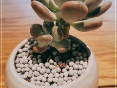 -Peet's Coffee皮爷咖啡(万象天地店)
