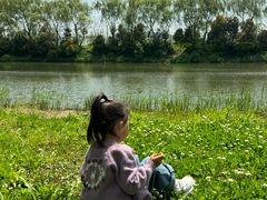 -苏州太湖国家湿地公园