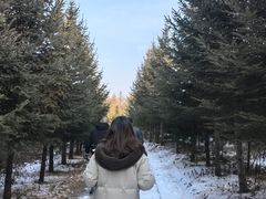 -图们国门景区