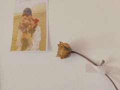 -Oasis coffee燕谷咖啡(公信店)