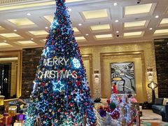 -上海浦东星河湾酒店