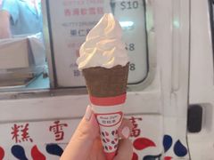 -富豪雪糕车流动点(尖沙咀店)