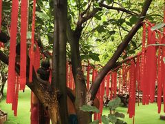 -呀路古热带植物园