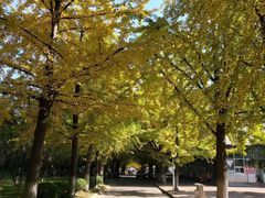 -辽东学院(南校区)