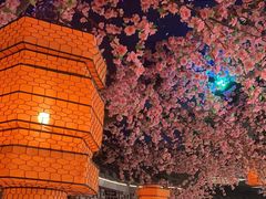 -荷塘秋月·本帮江浙菜(国权路店)