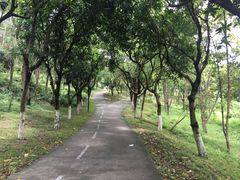-燕晗山郊野公园