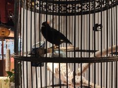 -清真·京华源铜锅涮肉(丰庆店)