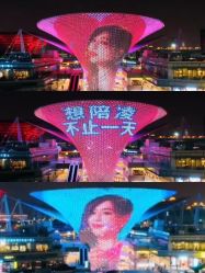 -迈瑞米求婚策划(静安店)