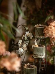 -无锡君来洲际酒店·宴会厅