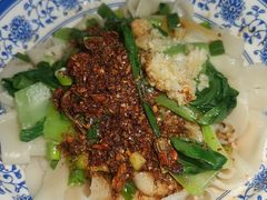 牛肉油泼扯面-马振面(小皮院店)