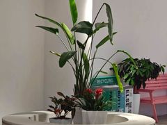 -百荣世贸商城