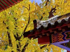 -宝通禅寺