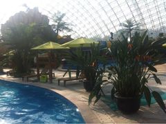 iphone_upload_pic-苏州乐园森林水世界