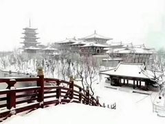 -南海禅寺