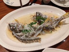-龙悦湾酒家·八阵鱼生·渔人码头店