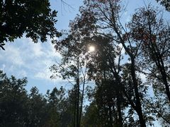 -艾溪湖湿地公园