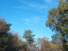 -牛岗山公园