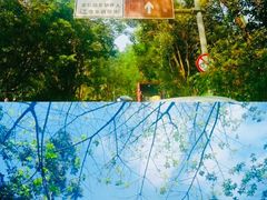 -火炉山森林公园