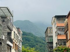 -大自然素食(望桐路店)