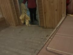 -咸宁万豪温泉谷度假区