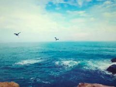 -豪客来牛排(文化路店)